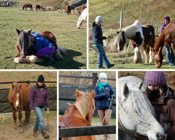 Mindfulness with horses